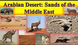 Sands of the Middle East: Arabian Desert