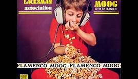 Dan Lacksman Association Flamenco Moog 1972 Coconut