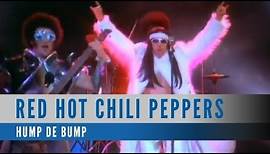 Red Hot Chili Peppers - Dani California (Official Music Video)