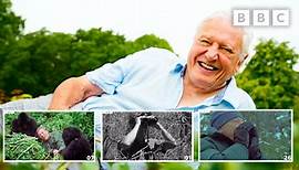 97 years of Sir David Attenborough in 97 seconds | David Attenborough's Birthday