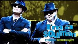 I'm A Soul Man - A Tribute to the Blues Brothers