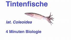 Coleoidea - Tintenfische - 4 Minuten Biologie