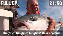 Kingfish Kingfish Kingfish