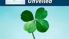 How to Find a Four-Leaf Clover: Amazing Facts You Didn’t Know
