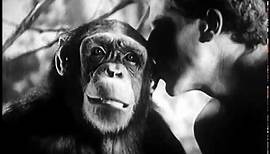 Tarzan's Revenge (1938) GLEN MORRIS🍕JUNGLE ADVENTURE
