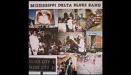 Mississippi Delta Blues Band
