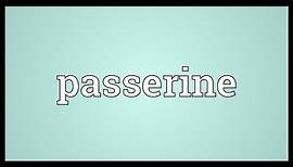 Passerine Meaning