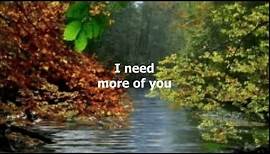 I Need More Of You by The Bellamy Brothers - 1985 (with lyrics)