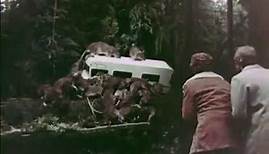 Die Insel der Ungeheuer - Trailer 1976