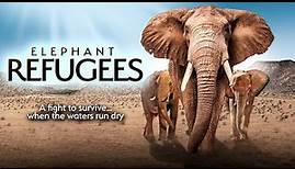 ELEPHANT REFUGEES - Official Documentary Trailer
