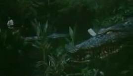 Der Mörder-Alligator (1989) - Trailer - Englisch