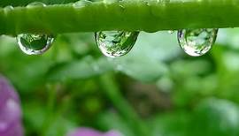 How Raindrops Form and Fall