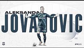 Aleksandar JOVANOVIC ● GK ● HIGHLIGHTS ● 2021-23