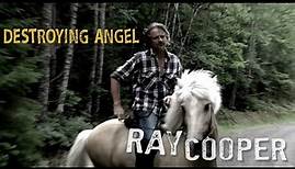 Ray Cooper - Destroying Angel