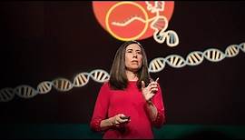 What you need to know about CRISPR | Ellen Jorgensen