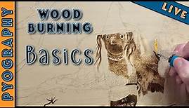Wood Burning Basics: How To Wood Burn Like A Pro In No Time