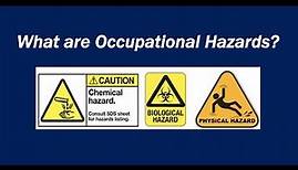 What are Occupational Hazards?