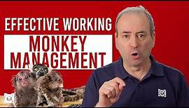 What is Monkey Management? How to Deal with a Monkey on Your Back