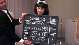 Shindig! A Special Retrospective - 1991