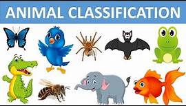 Classification of Animals || Types of Animals || Animal Groups || Science videos