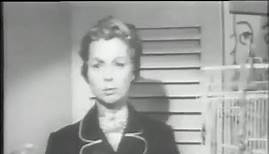 Ann Sothern Show   S01E03   Love Comes to Olive