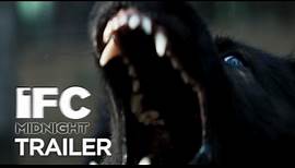 The Pack - Official Trailer I HD I IFC Midnight