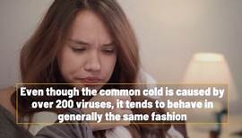 The Life Cycle Of The Common Cold Explained