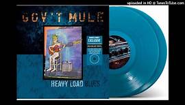 GOV`T MULE, 05 - Snatch It Back And Hold It _ Hold It Back _ Snatch It Back And Hold It (Medley), HQ