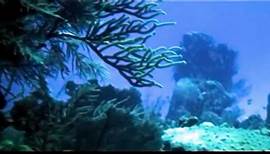 Die Odyssee der Neptun | movie | 1973 | Official Trailer
