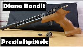 Luftpistole Diana Bandit - Review und Schusstest