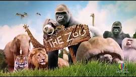 CBBC's 'The Zoo' official trailer