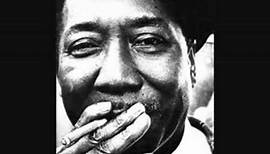 muddy waters -- mississippi delta blues
