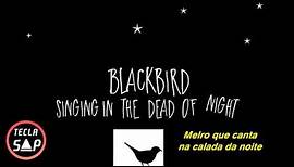 The Beatles - Blackbird (Legendado | Lyric | Tradução) #TeclaSap ♪