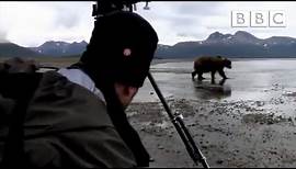 Camera crew come perilously close to a Grizzly | Great Bear Stakeout - BBC