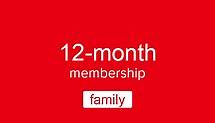 Kaufe Nintendo 12 Monate Abonnement (Familie) Nintendo Eshop