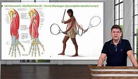 Anatomie I Obere Extremität: Oberarm, Unterarm, Hand & Ellenbogenbereich I Prof. Dr. med. Wirth