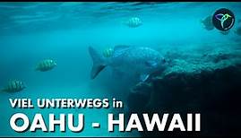 Oahu Hawaii Sehenswürdigkeiten & Highlights | VIEL UNTERWEGS