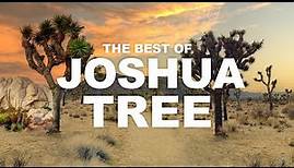 Joshua Tree National Park Travel Guide | Top Favorite Hikes, Best Hiking Trails, Road Trip Video