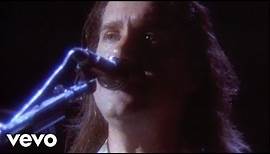 Dan Fogelberg - Make Love Stay (from Live: Greetings from the West)