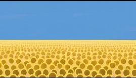 Eliza Gilkyson "Sunflowers" - for Ukraine