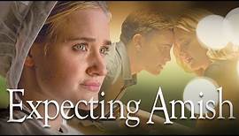 Expecting Amish (2014) | AJ Michalka | Jesse McCartney | Alyson Stoner | Full Movie