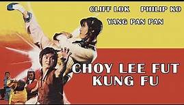 Wu Tang Collection - Choy Lee Fut Kung Fu