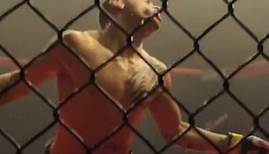 The Fighters 2: Beatdown Trailer OV