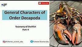 General Characters of order Decapoda || Taxonomy of Shellfish || Part:- 4 || Fisheries Science ||