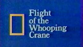 Flight of the Whooping Crane (1984)
