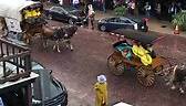 Red Steagall Cowboy Gathering wagon... - Cowtown Coliseum