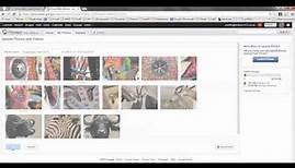 How to Make a Picasa Web Album