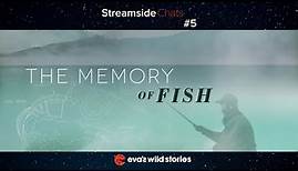 Memory of Fish ~ Official Trailer