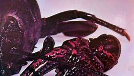 Doug Kershaw – Kershaw (Genus Cambarus) (1972, Vinyl)