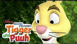 Meine Freunde Tigger und Puuh - Singen & Tanzen im Hundertmorgenwald | Disney Junior